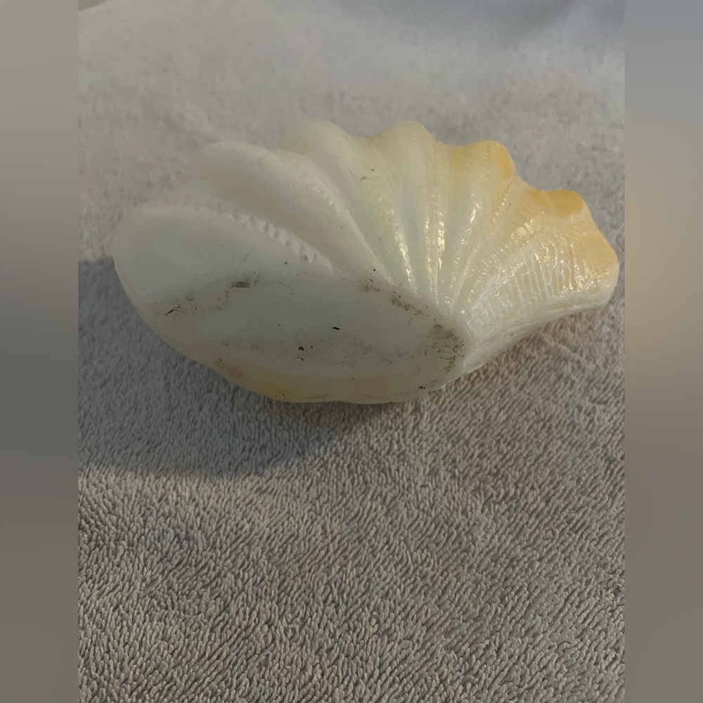 Handcrafted Decorative Unscented Cream Nautical Clam Shell Candle Decor - Picture 5 of 6